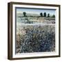 Fresh Water-Tim O'toole-Framed Giclee Print