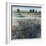 Fresh Water-Tim O'toole-Framed Giclee Print