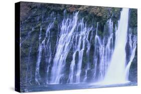 Fresh Waterfall-DLILLC-Stretched Canvas