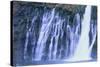 Fresh Waterfall-DLILLC-Stretched Canvas