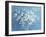 Fresh White Bouquet-Danhui Nai-Framed Art Print