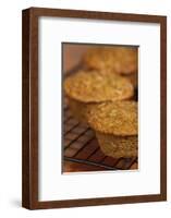 Freshly baked zucchini muffins cooling on a wire rack-Janet Horton-Framed Photographic Print