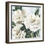 Freshly Bloomed II-Eva Watts-Framed Art Print