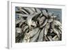 Freshly Caught Fish in the Port of Negombo, Sri Lanka, Asia-John Woodworth-Framed Photographic Print