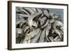 Freshly Caught Fish in the Port of Negombo, Sri Lanka, Asia-John Woodworth-Framed Photographic Print