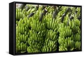 Freshly Cut Bananas, Peru, South America-Peter Groenendijk-Framed Stretched Canvas