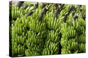 Freshly Cut Bananas, Peru, South America-Peter Groenendijk-Stretched Canvas