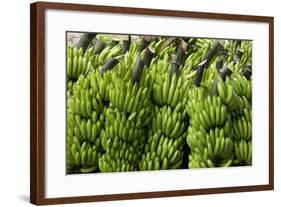 Freshly Cut Bananas, Peru, South America-Peter Groenendijk-Framed Photographic Print