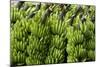 Freshly Cut Bananas, Peru, South America-Peter Groenendijk-Mounted Photographic Print