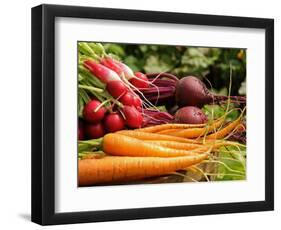 Freshly Harvested Carrots, Beetroot and Radishes from a Summer Garden, Norfolk, July-Gary Smith-Framed Photographic Print