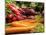 Freshly Harvested Carrots, Beetroot and Radishes from a Summer Garden, Norfolk, July-Gary Smith-Mounted Photographic Print