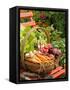 Freshly Harvested Carrots, Beetroot and Radishes in a Rustic Trug in a Summer Garden, England, July-Gary Smith-Framed Stretched Canvas