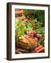 Freshly Harvested Carrots, Beetroot and Radishes in a Rustic Trug in a Summer Garden, England, July-Gary Smith-Framed Photographic Print