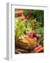 Freshly Harvested Carrots, Beetroot and Radishes in a Rustic Trug in a Summer Garden, England, July-Gary Smith-Framed Photographic Print