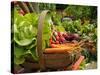 Freshly Harvested Carrots, Beetroot and Radishes in a Summer Garden, Norfolk, July-Gary Smith-Stretched Canvas