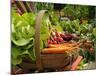 Freshly Harvested Carrots, Beetroot and Radishes in a Summer Garden, Norfolk, July-Gary Smith-Mounted Photographic Print