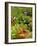 Freshly Harvested Carrots, Beetroot and Radishes in a Summer Garden, Norfolk, July-Gary Smith-Framed Photographic Print