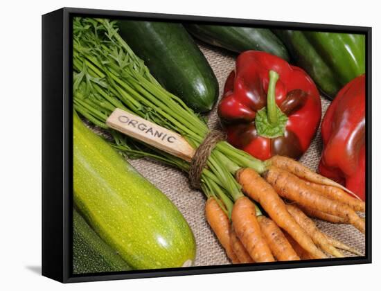 Freshly Harvested Home Grown Organic Vegetables with Organic Label, UK-Gary Smith-Framed Stretched Canvas