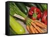 Freshly Harvested Home Grown Organic Vegetables with Organic Label, UK-Gary Smith-Framed Stretched Canvas