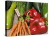 Freshly Harvested Home Grown Organic Vegetables with Organic Label, UK-Gary Smith-Stretched Canvas