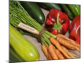Freshly Harvested Home Grown Organic Vegetables with Organic Label, UK-Gary Smith-Mounted Photographic Print