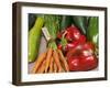 Freshly Harvested Home Grown Organic Vegetables with Organic Label, UK-Gary Smith-Framed Photographic Print
