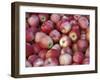 Freshly Picked Gala Apples, Monitor, Washington, USA-Jamie & Judy Wild-Framed Premium Photographic Print