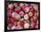 Freshly Picked Gala Apples, Monitor, Washington, USA-Jamie & Judy Wild-Framed Photographic Print