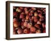 Freshly Picked Gala Apples, Monitor, Washington, USA-null-Framed Photographic Print