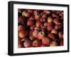 Freshly Picked Gala Apples, Monitor, Washington, USA-null-Framed Photographic Print