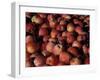 Freshly Picked Gala Apples, Monitor, Washington, USA-null-Framed Photographic Print