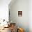 Freshly Picked Home Grown Tomatoes in Kitchen Colander in Rustic Potting Shed Setting, UK-Gary Smith-Photographic Print displayed on a wall