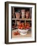 Freshly Picked Home Grown Tomatoes in Kitchen Colander in Rustic Potting Shed Setting, UK-Gary Smith-Framed Photographic Print