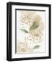 Freshly Picked II-Isabelle Z-Framed Art Print