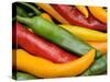 Freshly Picked Red, Green and Yellow Chillies Close Up Shot, UK-Gary Smith-Stretched Canvas