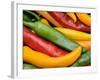 Freshly Picked Red, Green and Yellow Chillies Close Up Shot, UK-Gary Smith-Framed Photographic Print