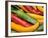 Freshly Picked Red, Green and Yellow Chillies Close Up Shot, UK-Gary Smith-Framed Photographic Print