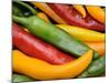 Freshly Picked Red, Green and Yellow Chillies Close Up Shot, UK-Gary Smith-Mounted Photographic Print