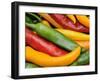 Freshly Picked Red, Green and Yellow Chillies Close Up Shot, UK-Gary Smith-Framed Photographic Print