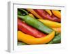 Freshly Picked Red, Green and Yellow Chillies Close Up Shot, UK-Gary Smith-Framed Photographic Print