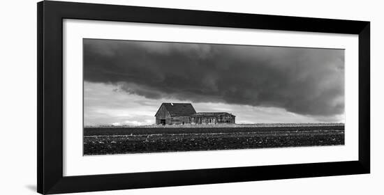 Freshly Plowed-Trent Foltz-Framed Art Print