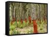 Freshly Stripped Cork Oaks, Catalunya (Catalonia), Spain, Europe-John Miller-Framed Stretched Canvas