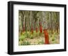 Freshly Stripped Cork Oaks, Catalunya (Catalonia), Spain, Europe-John Miller-Framed Photographic Print