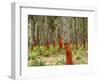 Freshly Stripped Cork Oaks, Catalunya (Catalonia), Spain, Europe-John Miller-Framed Photographic Print