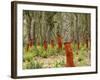 Freshly Stripped Cork Oaks, Catalunya (Catalonia), Spain, Europe-John Miller-Framed Photographic Print