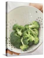 Freshly Washed Broccoli Florets in Sieve-William Lingwood-Stretched Canvas