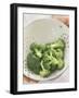 Freshly Washed Broccoli Florets in Sieve-William Lingwood-Framed Photographic Print