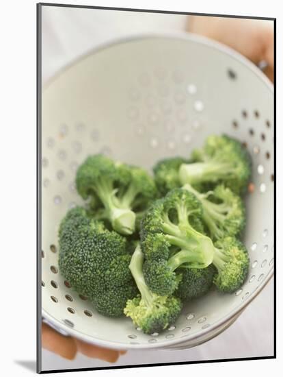 Freshly Washed Broccoli Florets in Sieve-William Lingwood-Mounted Photographic Print