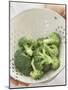 Freshly Washed Broccoli Florets in Sieve-William Lingwood-Mounted Photographic Print