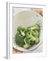 Freshly Washed Broccoli Florets in Sieve-William Lingwood-Framed Photographic Print